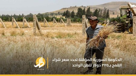 «الحكومة السوريّة المؤقتة» تحدّد سعر شراء القمح من المزارعين شمالي سوريا