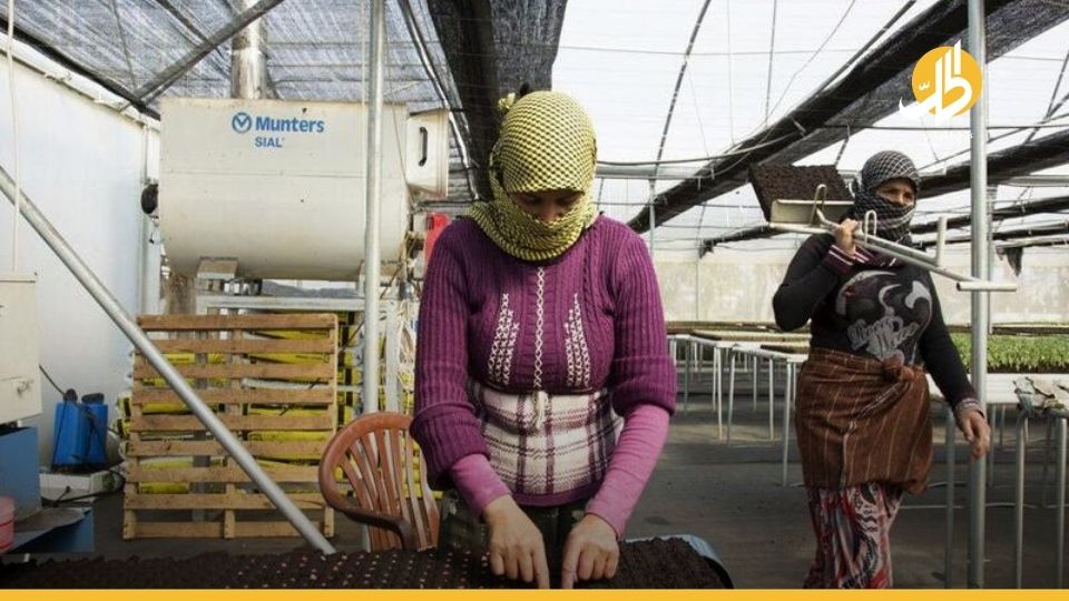 معوقاتٌ وتحديّاتٌ تواجه العاملات السوريّات في تركيا.. ما أبرزها؟