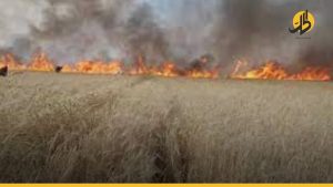 النيران تلتهم أكثر من 74 أرض زراعية وحراجية في طرطوس