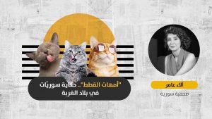 سوريّات أُصِبن بحمى “الإدمان على القطط”