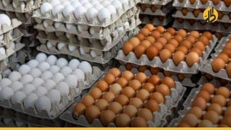 في عشر سنوات.. بيضة الدجاج من ليرتين إلى 300 ليرة في سوريا