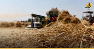 «الأجهزة الأمنية» تُلاحق الفلاحين وتجار القمح ضمن المناطق الحكوميّة في دير الزور