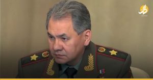 وزير الدفاع الروسي: «جربنا في سوريا أكثر من 320 نوعاً من الأسلحة»