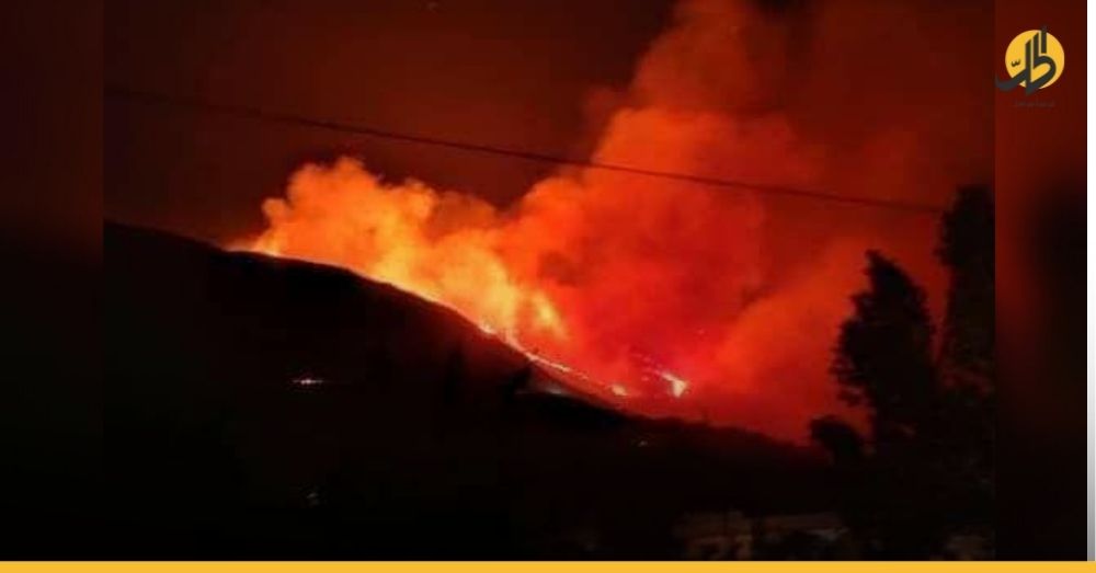 النيران تلتهم خمسة دونمات من الأراضي بعد وصولها إلى مصياف باللاذقيّة
