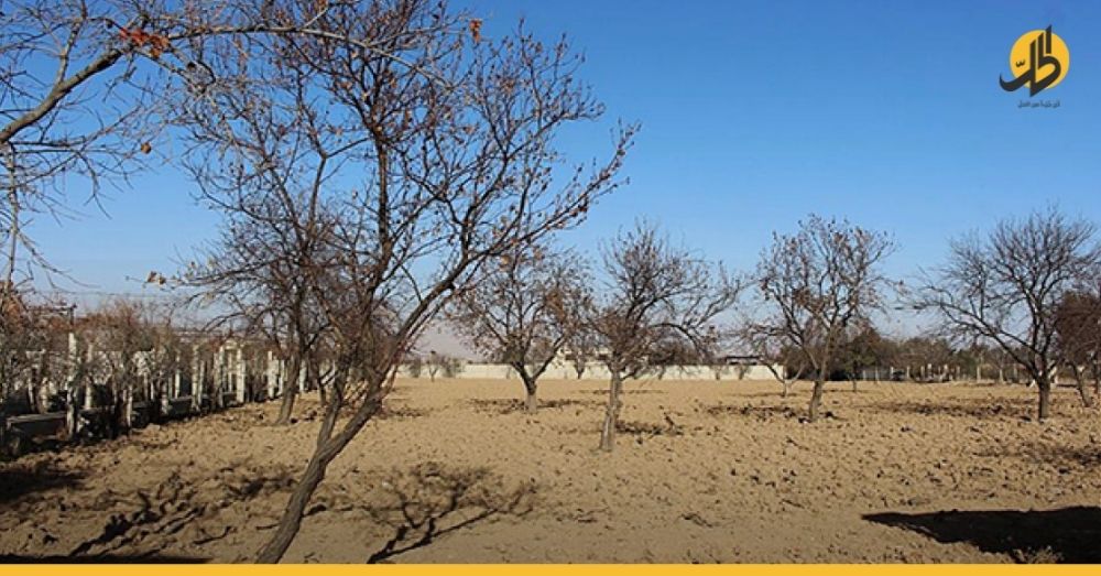 خبير تنمية: القطاع الزراعي السوري سينهار خلال أشهر!