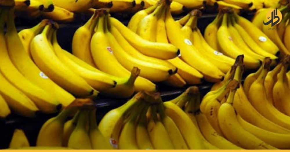 الموز في سوريا فاكهة نادرة تهرب للأثرياء فقط!