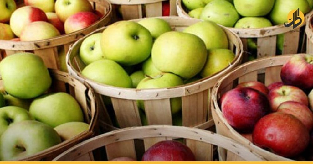 شروط مصرية تنذر برفض شراء ٨٠٪ من التفاح السوري