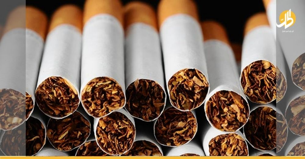 زراعة التبغ في سوريا.. تعرف على أرباحها