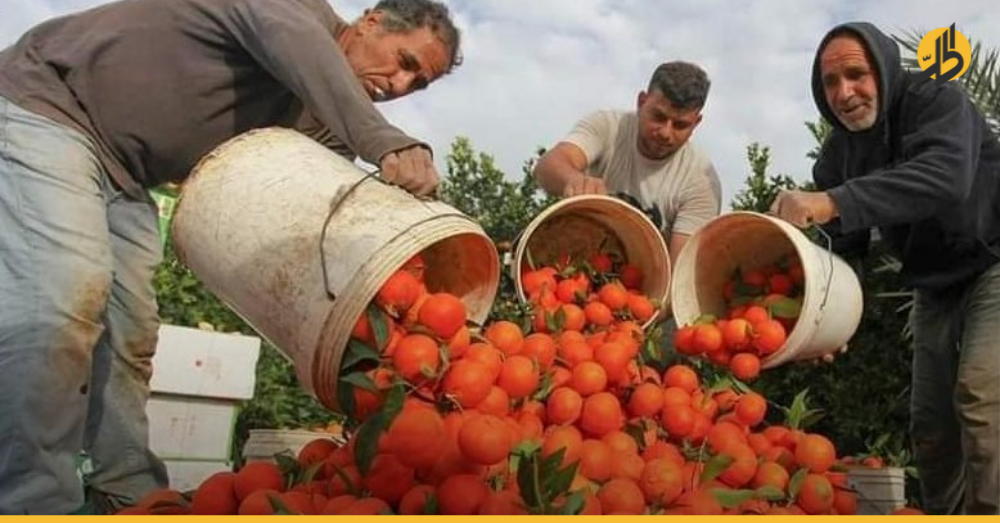 تدهور إضافي في الزراعة السورية.. ما تأثير الإمارات؟