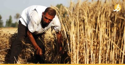 الزراعة السورية تتقلب بين الأيادي الروسية والإيرانية.. هل يستمر الصراع؟