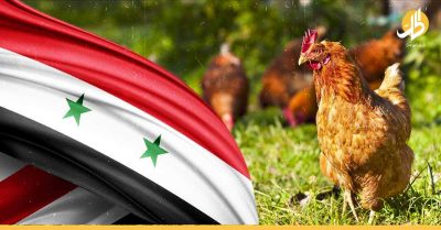 دمشق: فروج واحد يوميا لكل مواطن.. الأسباب مأساوية!