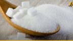 “تأمين المواد صعب”.. إيقاف إنتاج السكر والزيت بحمص