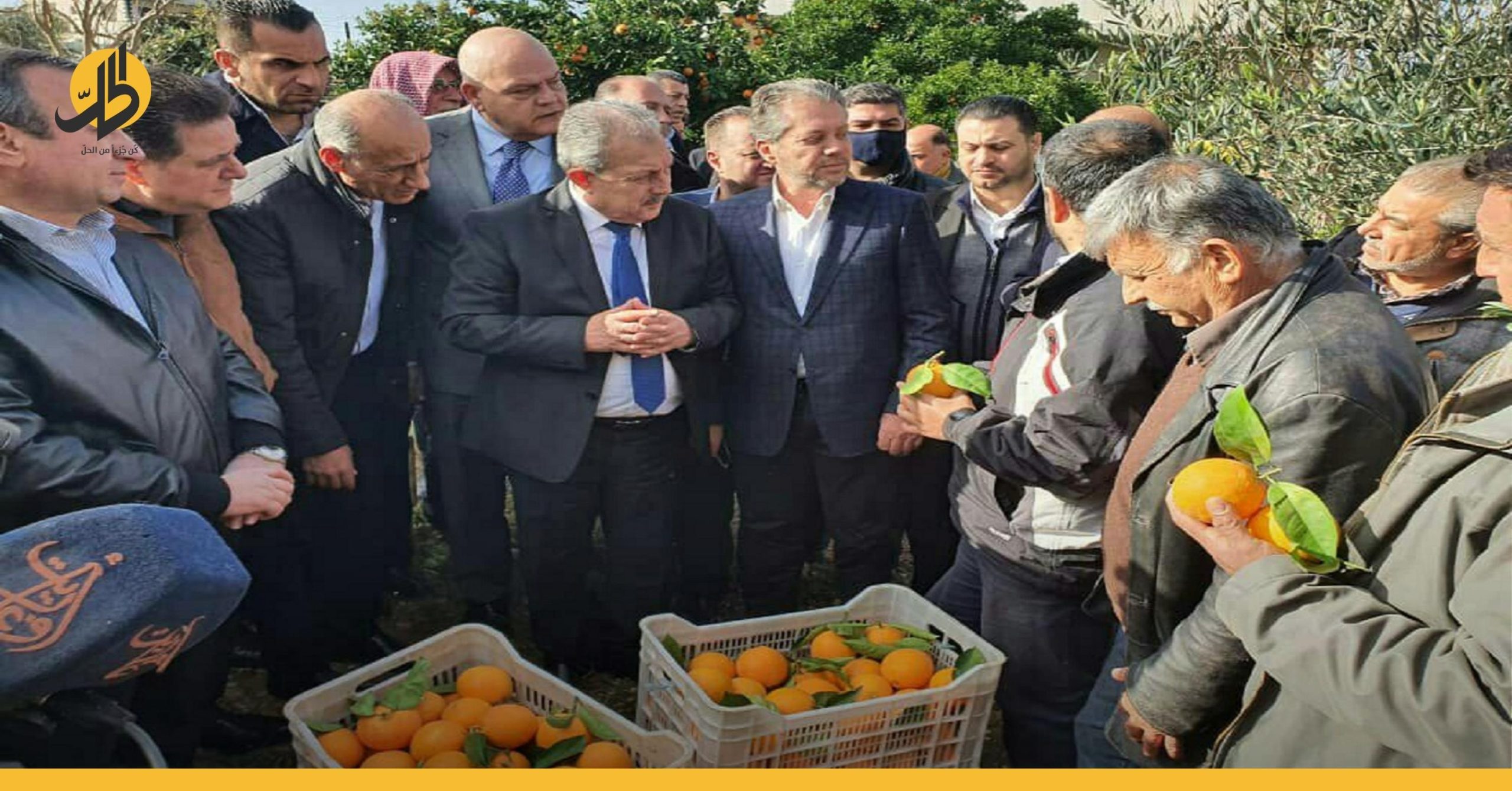 الجيش والشرطة والمشافي يشاركون بتصريف البرتقال الكاسد في الساحل السوري