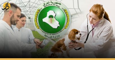 “نحو 300 درجة وظيفية”.. الزراعة العراقية: نحتاج أطباء  بيطريين ومهندسين زراعيين