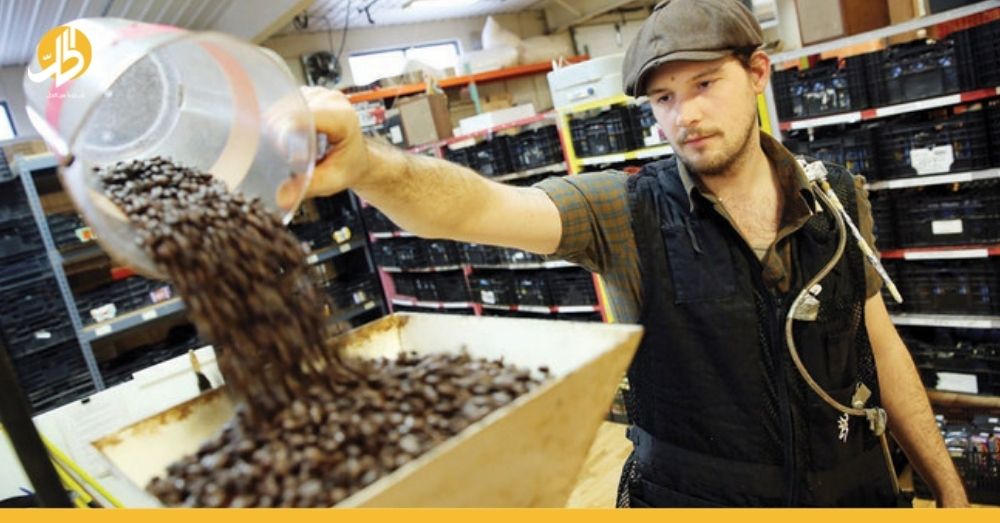 بعد ارتفاع أسعارها.. بيع قهوة مغشوشة في سوريا