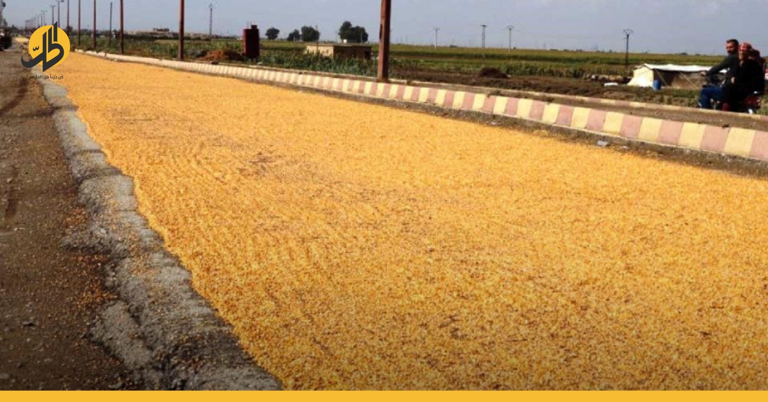 تزايد أسعار الذرة الصفراء في سوريا