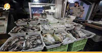 أسعار الأسماك في اللاذقية “نار كاوية”