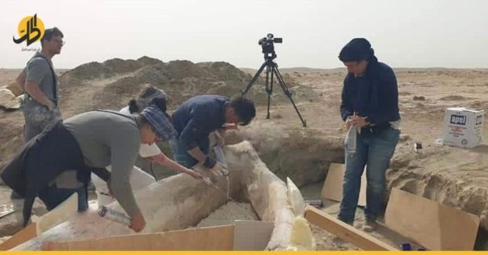 العراق: العثور على قارب يعود إلى نحو 4 آلاف سنة