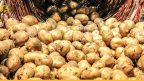 سوريا.. احتكار البطاطا لمصلحة “حيتان سوق الهال”