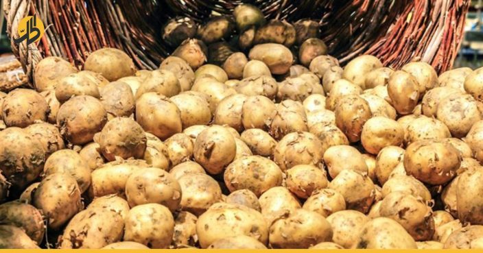 سوريا.. احتكار البطاطا لمصلحة “حيتان سوق الهال”