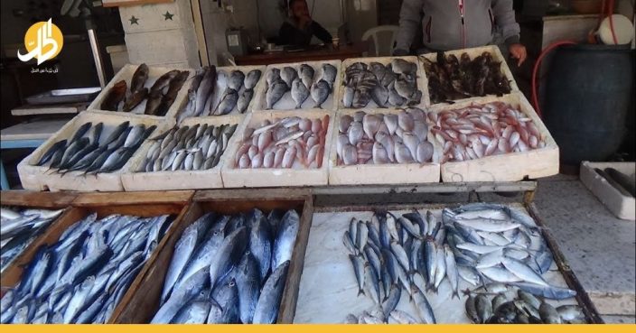 زبائن 5 نجوم في أسواق السمك السورية