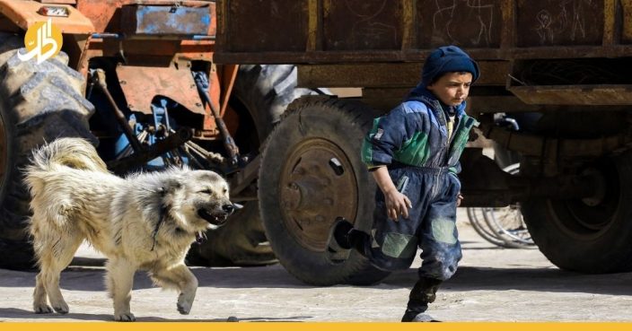 في سوريا.. الشكوى على الكلب تؤدي إلى حبسه وتغريمه