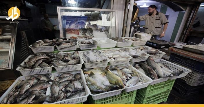 بيع سمكة في المزاد العلني بنصف مليون ليرة سوريّة