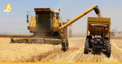 ارتفاع محصول القمح في سوريا هذا العام.. هل يتحسن القطاع الزراعي؟