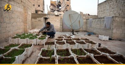 أسطح المنازل مزارع للأسر السورية