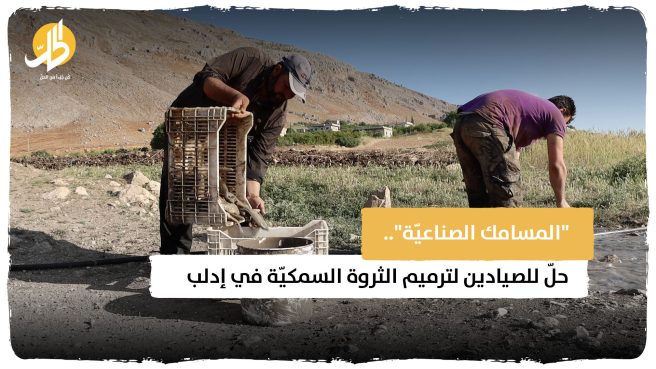 “المسامك الصناعيّة“.. حلّ للصيادين لترميم الثروة السمكيّة في إدلب