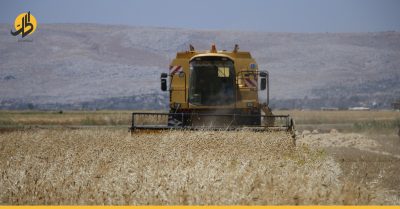 استياء مزارعي إدلب من أسعار القمح هذا العام
