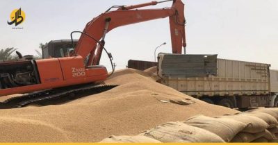 تراجع إنتاج الحنطة والقمح في العراق وتطمينات حكومية بتجاوز الأزمة