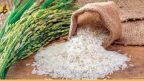 بعد أزمة القمح العالمية.. مخاطر تهدد الأرز