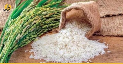 بعد أزمة القمح العالمية.. مخاطر تهدد الأرز