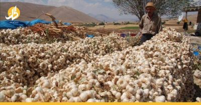 سوريا: المازوت الأسود يحرق أسعار الثوم والفواكه للأثرياء