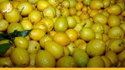 كيلو الليمون بـ10 آلاف ليرة في سوريا