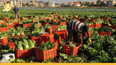 كارثة تهدد المحاصيل الصيفية في سوريا