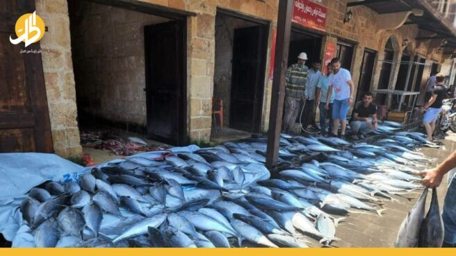 كميات كبيرة من “سمكة الدراويش” البلميدا في الأسواق السورية.. ما القصة؟