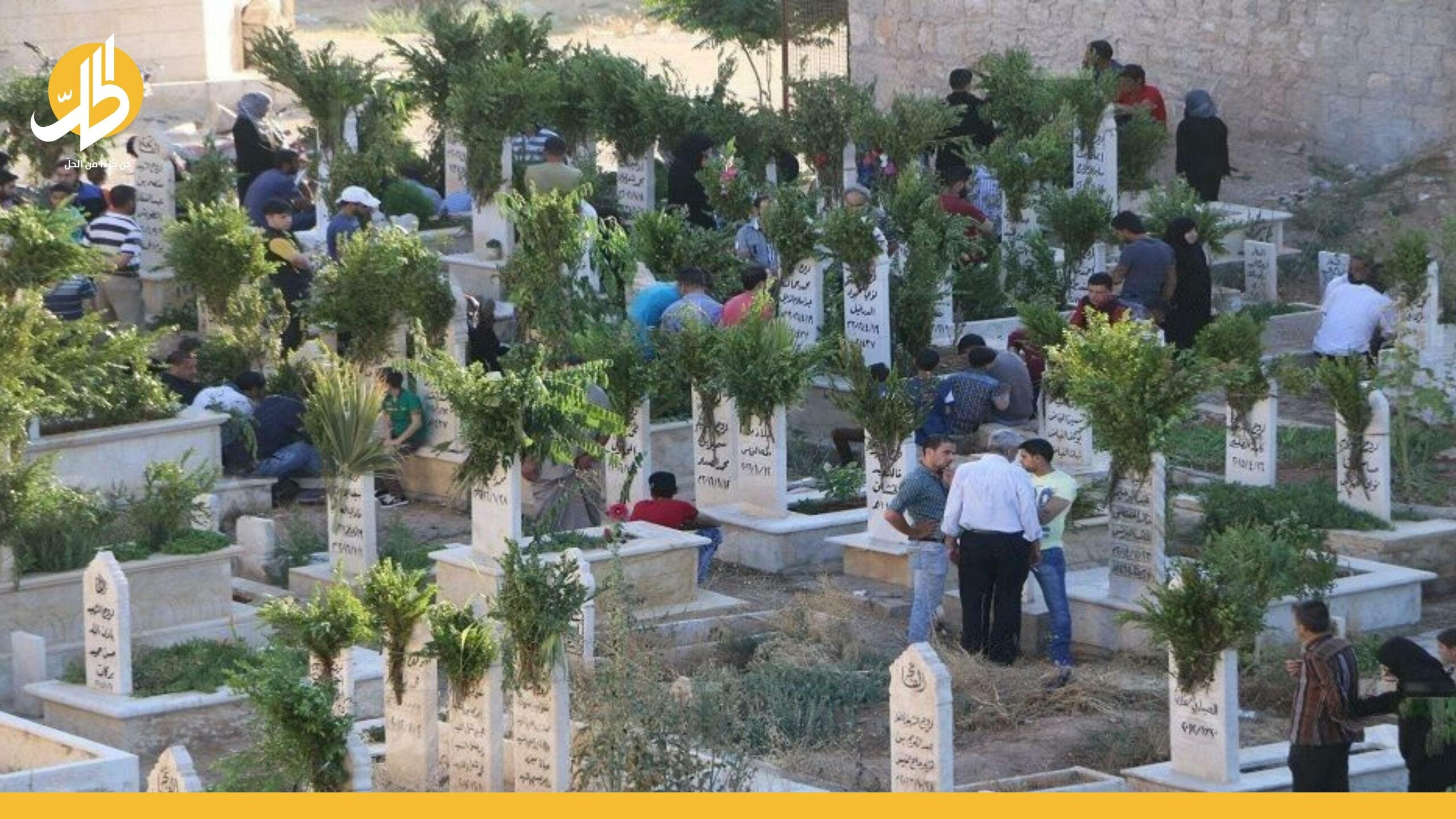 شجر “الآس” في سوريا.. حجز مسبق وأسعار جنونية!