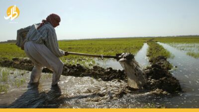 العراق يلجأ إلى الآبار الجوفية بزراعة الحنطة