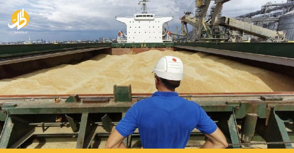 انخفاض عالمي لأسعار القمح.. ما تأثير واشنطن والأمن الغذائي؟