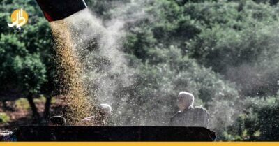 تهديد جديد للأمن الغذائي في سوريا.. حصاد القمح يقلب المعادلة