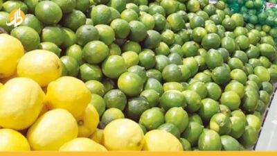 ارتفاع جديد لأسعار الخضروات.. الليمون يباع بالحبة والكيلو بـ17 ألف ليرة سورية