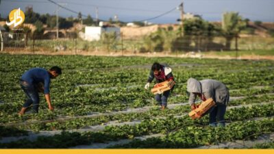تهالك القطاع الزراعي في سوريا.. ما الأسباب الحقيقية؟