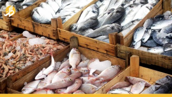 الكيلو بـ ألفي ليرة سورية.. ما قصة الانخفاض الكبير بأسعار السمك؟