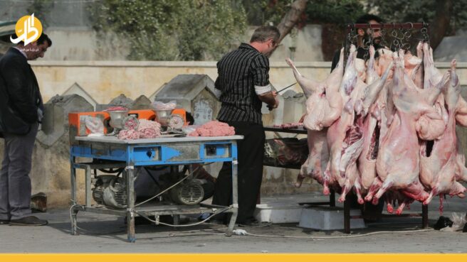 ألف خروف و150 طن فروج استهلاك دمشق اليومي من اللحوم