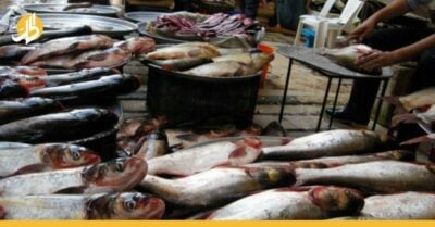 التقنين الكهربائي يفسد سوق الأسماك في سوريا