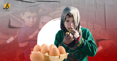 “نراها فقط في الأسواق”.. البيضة حلمُ الأطفال في سوريا
