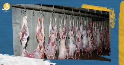 تراجع استهلاك اللحوم في سوريا.. “من سنة لسنة لناكل”