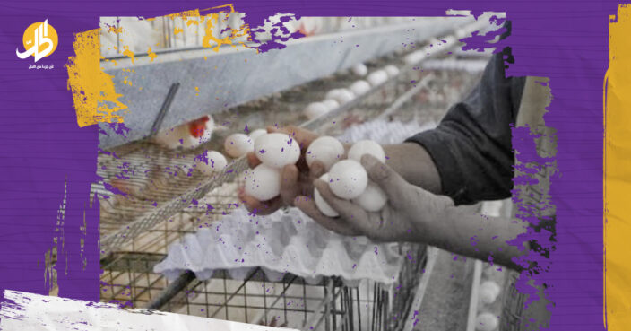 “البيضة بـ500 ليرة”.. قطاع الدواجن يُحتضر في سوريا
